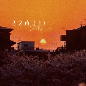 中国美女A级片视大全部
